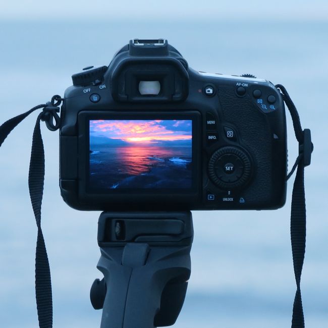 Priya Chauhan's post tagged #photographylife