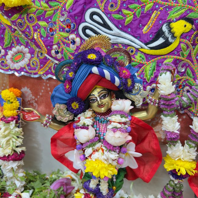 A Callings member's post tagged #bhakti