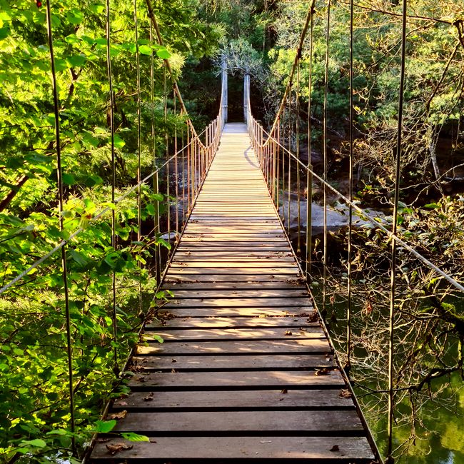 Hannah Sangma's post tagged #everydaymagic