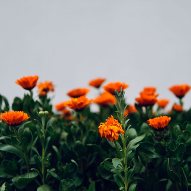 Elakshi Nath's post tagged #peacefulweekend