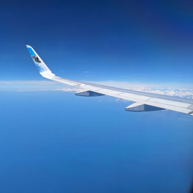 A Callings member's post tagged #aviationsafety