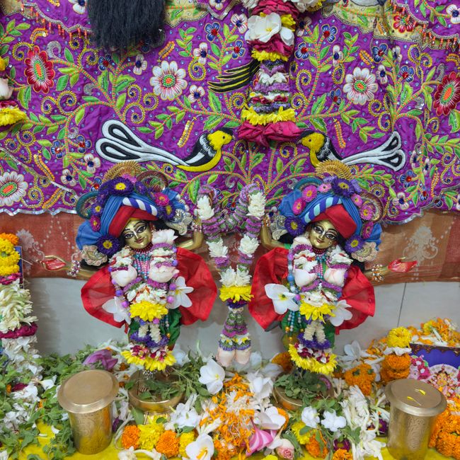 A Callings member's post tagged #janmashtami