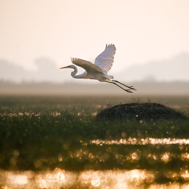 Debasmita Samal's post tagged #photography