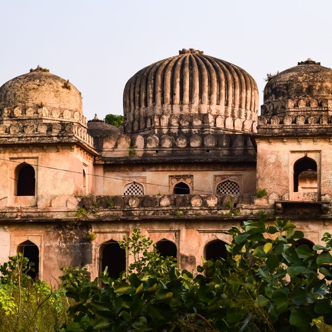 A Callings member's post tagged #indoreheritage