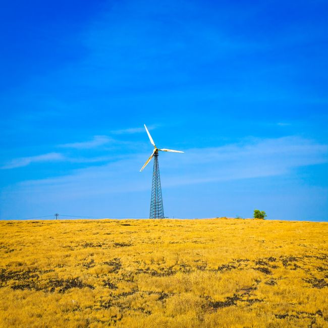 A Callings member's post tagged #sustainability