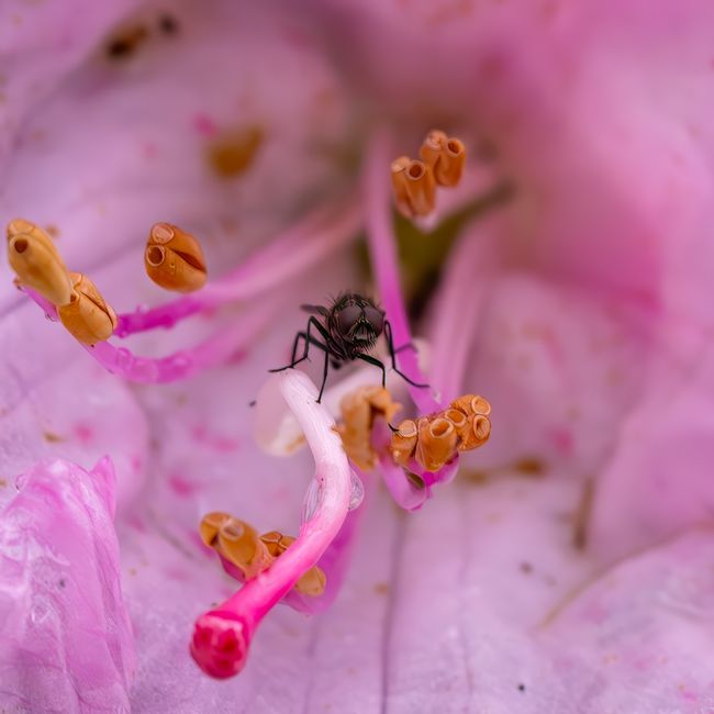 Divya Agarwal's post tagged #natureisinspiring