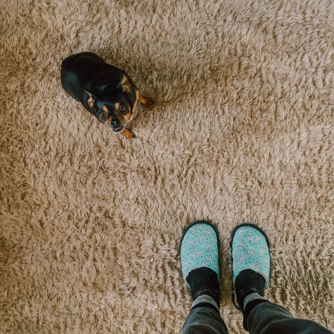 Varsha Prasad's post tagged #cozyweekend