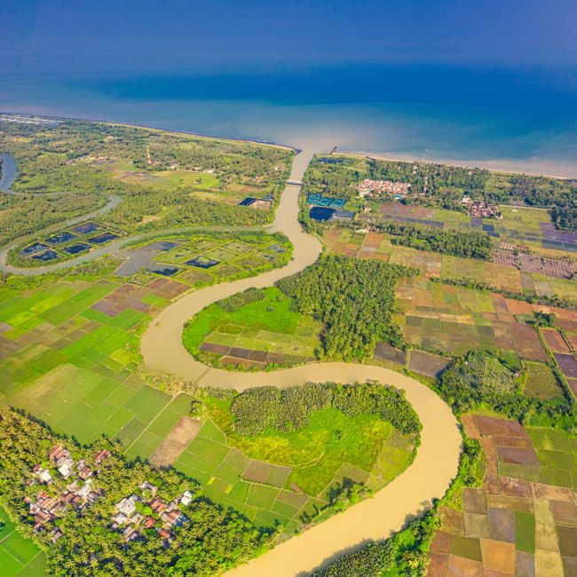 A Callings member's post tagged #climateaction